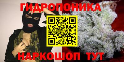 мяу мяу мука Дмитров