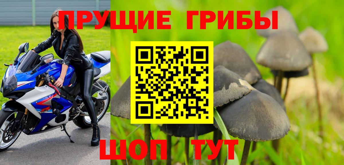купить наркоту  Псилоцибиновые грибы ЛСД  Вход с VPN  Долгопрудный 